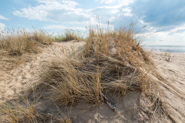 Duinen aan de Oostzee met zand en gras carnikava letland