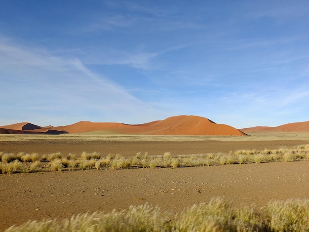 Duinen in Namib woestijn Sossusvlei Namibië