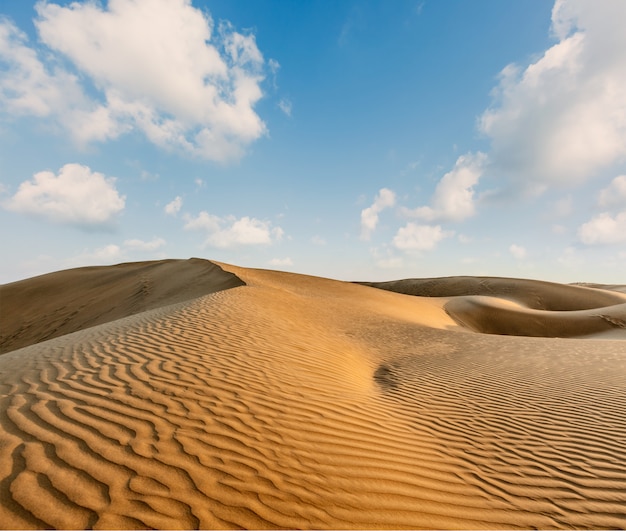 Duinen van Thar Desert, Rajasthan, India