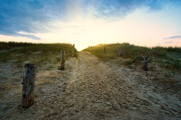 Duinovergang naar het strand Op het strand van Blavand in Denemarken Landschapsopname