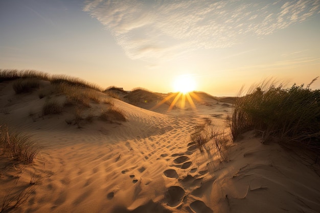 Duinveld met de opkomende zon achter de duinen