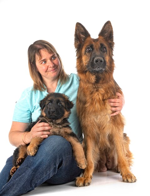 Duitse herders en vrouw