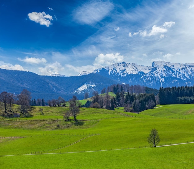 Duitse idyllische pastorale landschap in het voorjaar met Alpen in backg