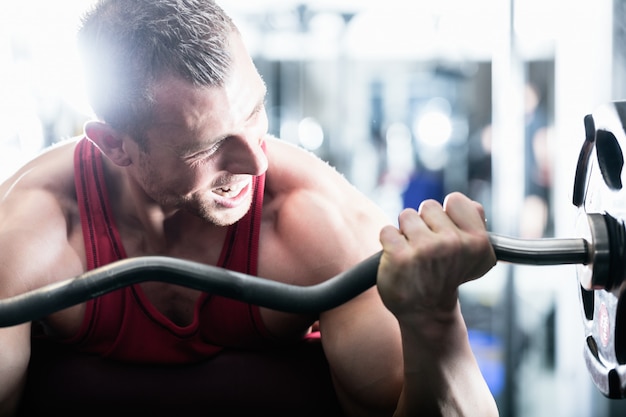 Dumbbell training in gym