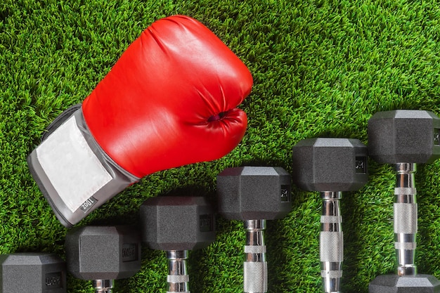 Dumbbells boxing gloves