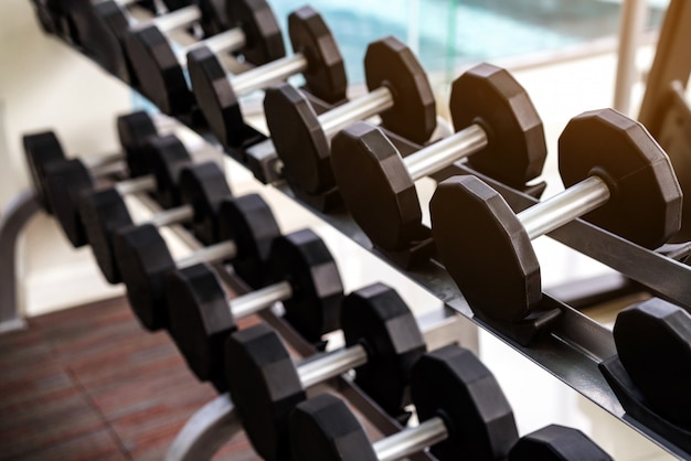 Dumbbells on rack in fitness center.