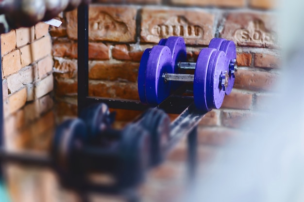 Dumbbells and weights on shelves