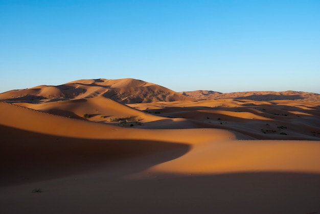 Dunas al amanecer merzouga