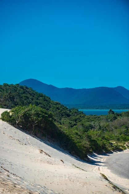 Dunas da Joaquina in Florianopolis located between Lagoa da Conceio and Joaquina beach