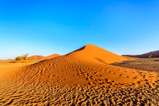 Dune 45 at sossusvlei namibia africa