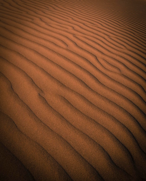 Dune background