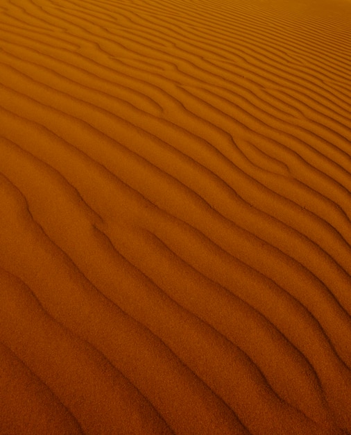 Dune background