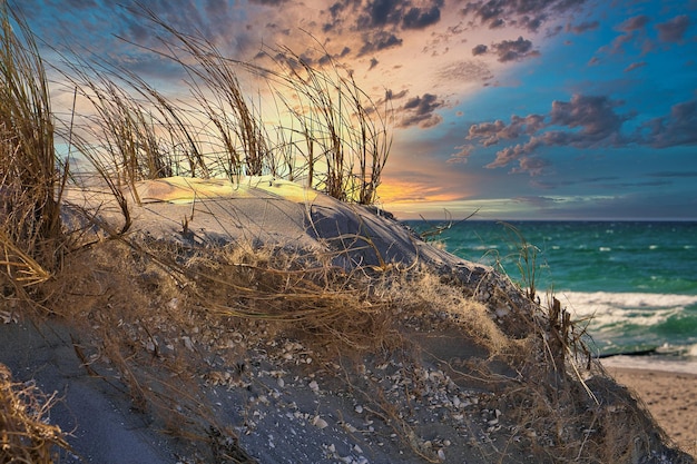 HDR 모양의 모래 언덕 풍경 발트 해 Zingst 백그라운드에서 바다와 해변