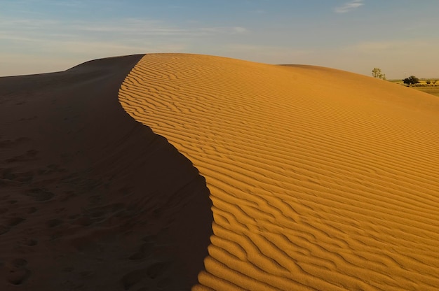 Dune landscape La Pampa Argentina