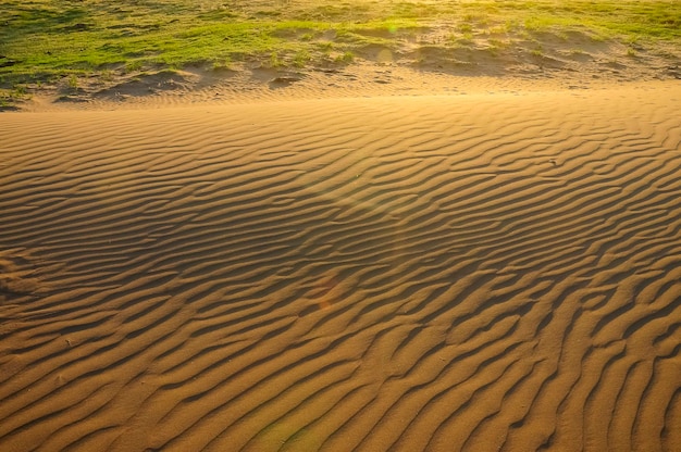 Dune landscape La Pampa Argentina