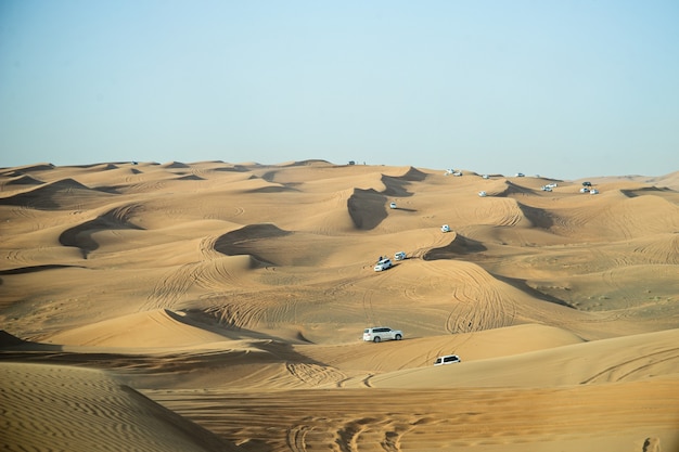 Dune safari in Dubai desert