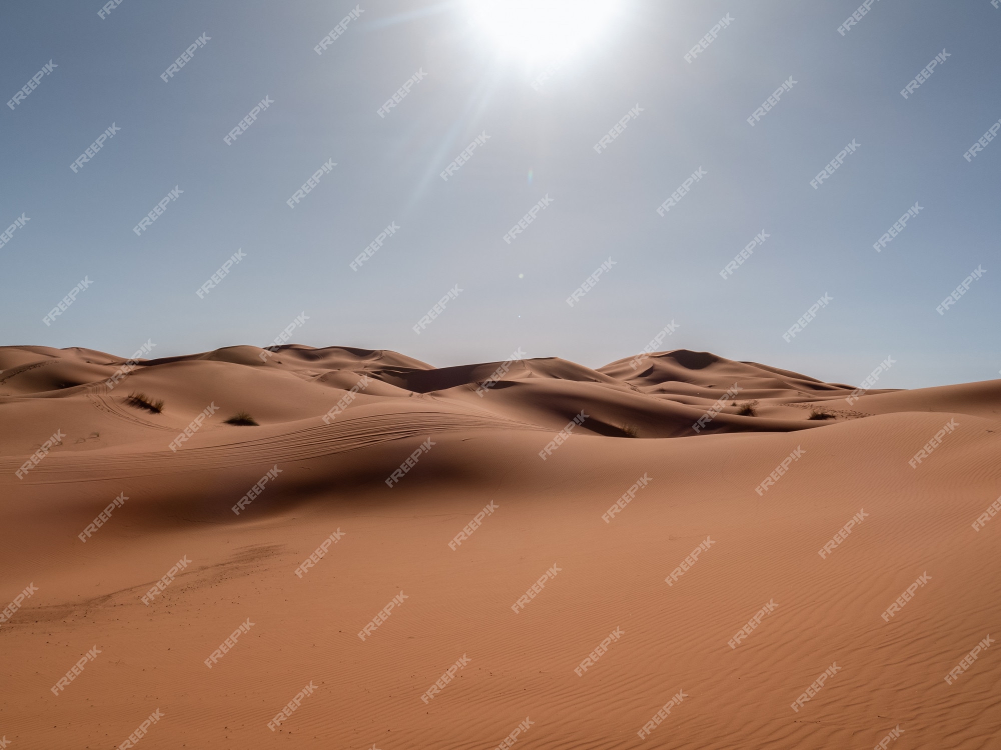 Premium Photo | Dune in the sahara desert