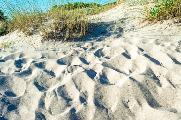 Dune of sand on the beach