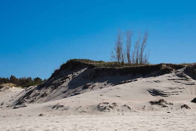 バルト海砂州バルチースク カリーニングラード地域の砂丘