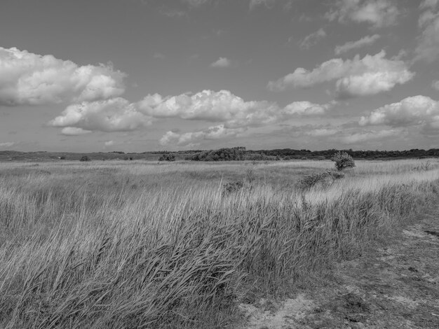 dunes of baltrum island