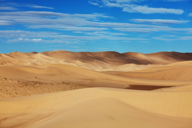 Dunes of the Gobi desert