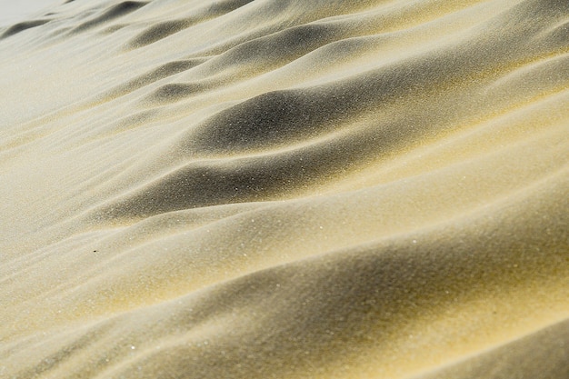 The dunes of Joaquina beach in Florianopolis have one of the most beautiful views on the island