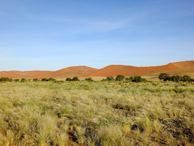 Дюны в пустыне Намиб Sossusvlei Namibia