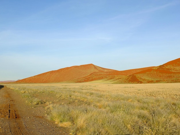 Дюны в пустыне Намиб Sossusvlei Namibia