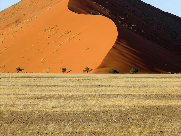 Dunes in Namib desert Sossusvlei Namibia