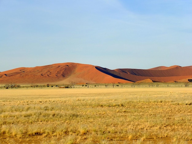 Дюны в пустыне Намиб Sossusvlei Namibia