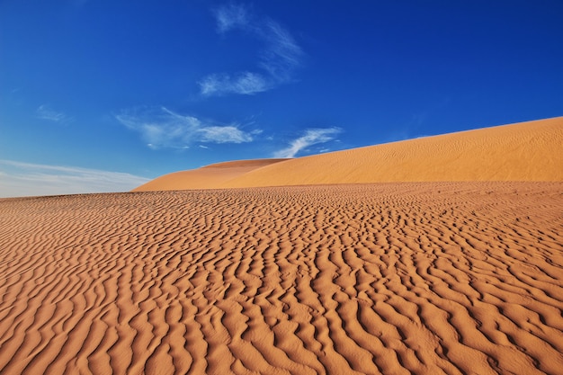 アフリカの中心にあるサハラ砂漠の砂丘