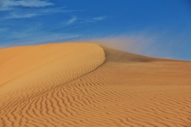 Dunes in the Sahara desert in the heart of Africa