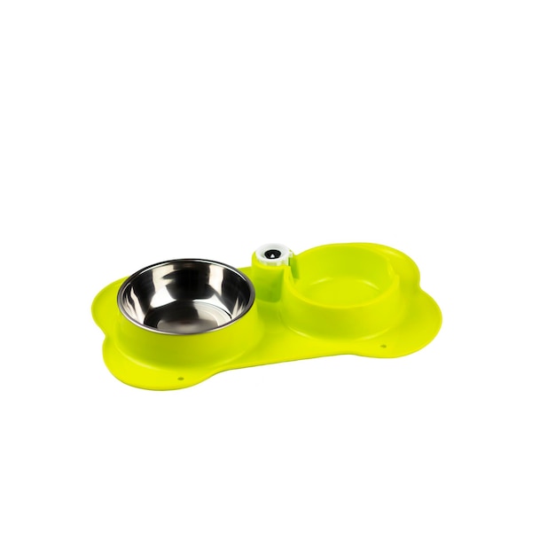 duo green bowl feeder for dogs