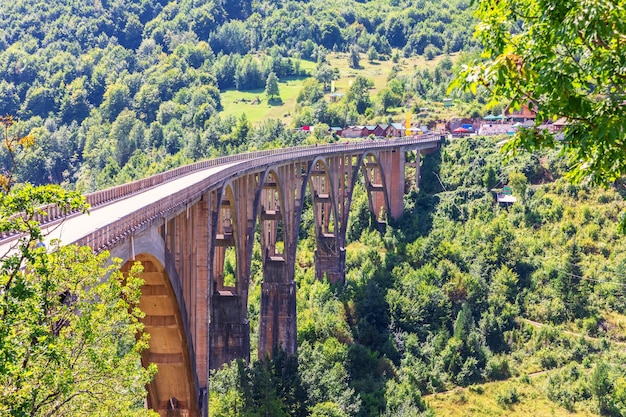 Photo durdevica bridge over the tara river side view montenegro