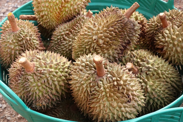 Durian-fruit bij straatvoedsel