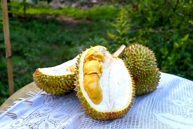 A durian fruit is on a table in a garden