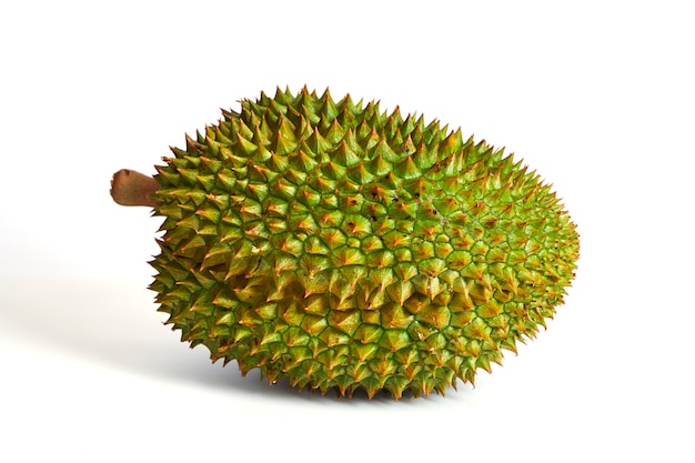 Durian fruit isolated on white background