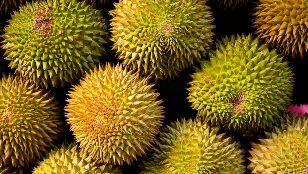 Durian fruit for sale in market tropical fruit durian in asia