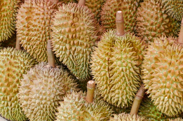 Durian fruit on shelf 