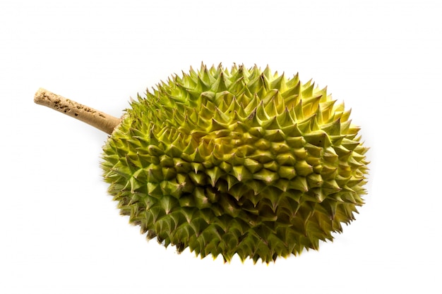 Photo durian fruit on white background, a close-up view of durian