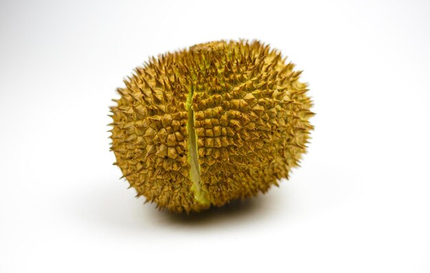 Durian fruit with cut in half and leaves isolated on white background