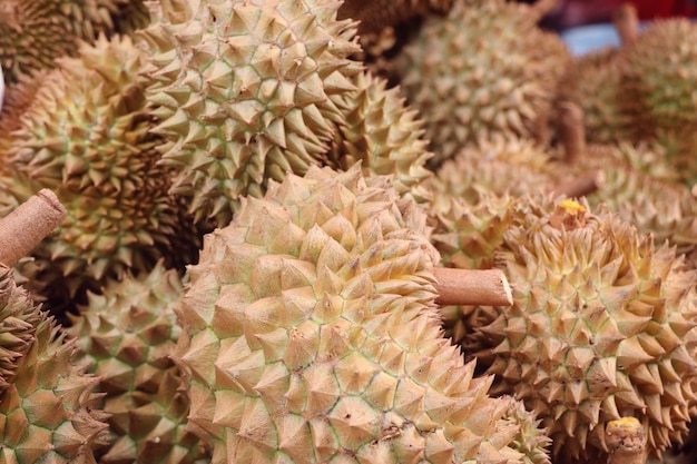 durian fruit