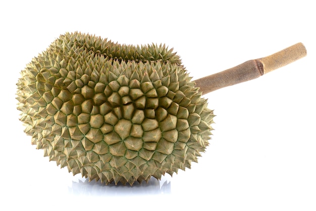 Frutti del durian isolati su bianco