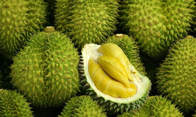 Durian geel met doornige schil Het is een populaire vrucht
