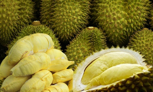 Durian geel met doornige schil Het is een populaire vrucht