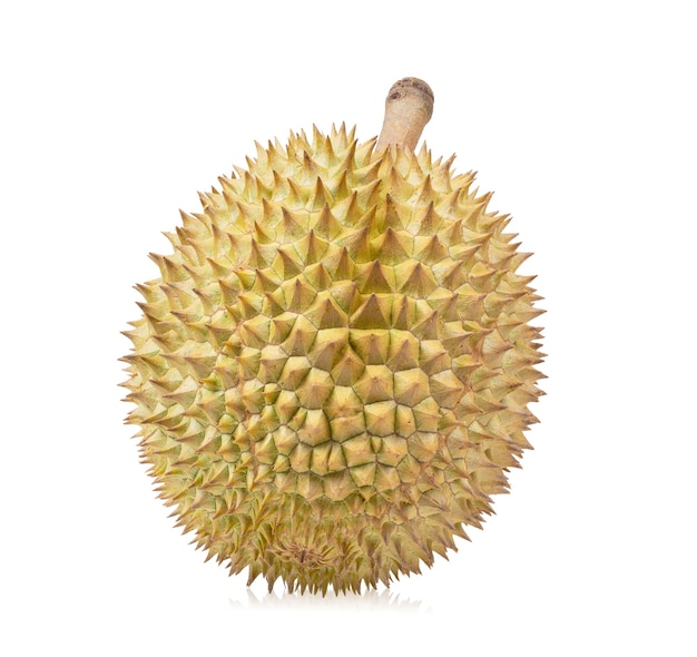 Durian isolato su sfondo bianco