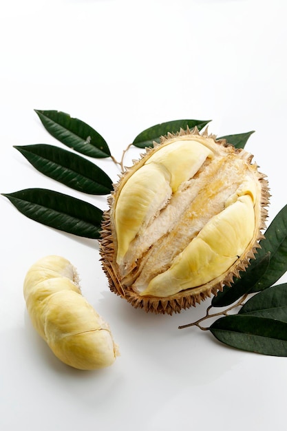 Durian Monthong King of Fruit from Thailand on White Background