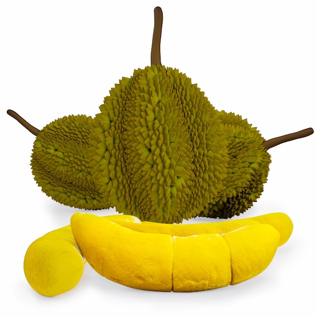 Durian pulp peeled and whole durian unwrapped or split on a white background