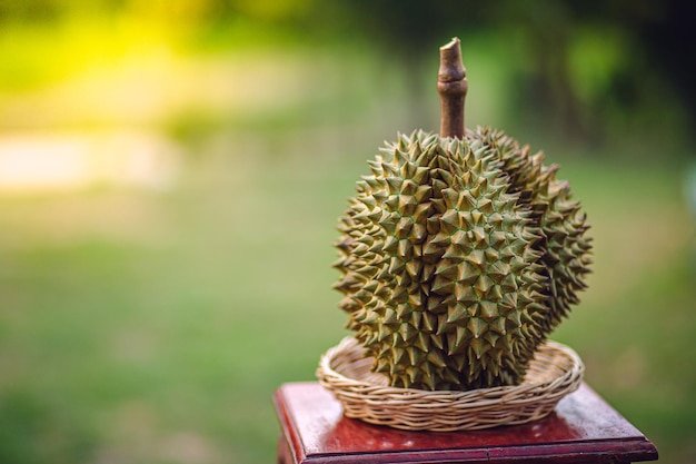 Durian riped and fresh durian peel with yellow colour on wooden table