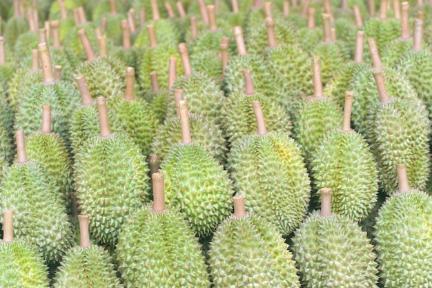 Durian with green spines ready to eat